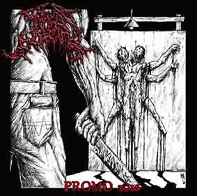 Sensor Motorik : Promo 2016